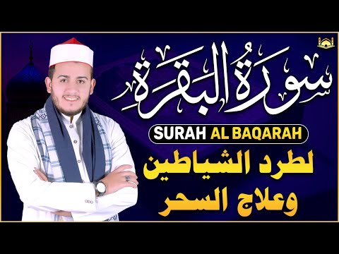 سورة البقرة كاملة لطرد الشياطين من منزلك وجلب البركه باذن الله ❤️ surat albaqra