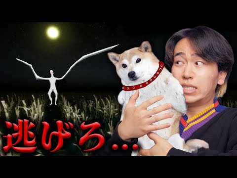 夜の田んぼを犬と散歩していたら恐怖の『くねくね』を見てしまった結果がヤバすぎた。。。【たんぼ】