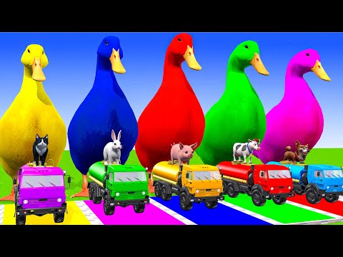 5 Giant Duck Cartoon,Cow,Elephant,Tiger,Lion,Dinosaur,Paint Wild Animals Crossing Fountain Animation