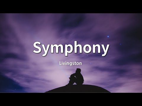 이번 앨범에서 내 최애곡....! :Livingston - Symphony [가사/lyrics/해석]