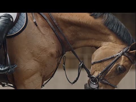 || Headlock || Equestrian music video