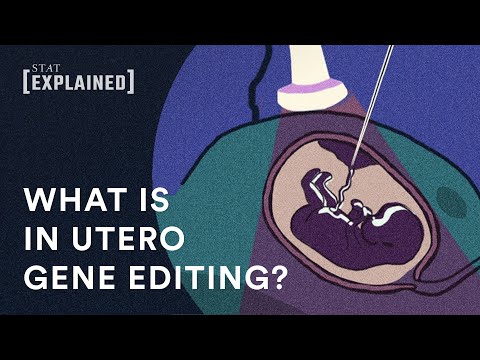 What is in utero gene editing?