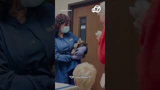 Emotional reunion as woman holds cat feared dead in California wildfire