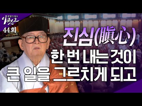 [큰자막]진심(瞋心) 한 번 내는 것이 큰일을 그르치게 되고| 송담스님의 이뭣고 44회 (전체영상) #송담스님 #이뭣고 #화두 #참선