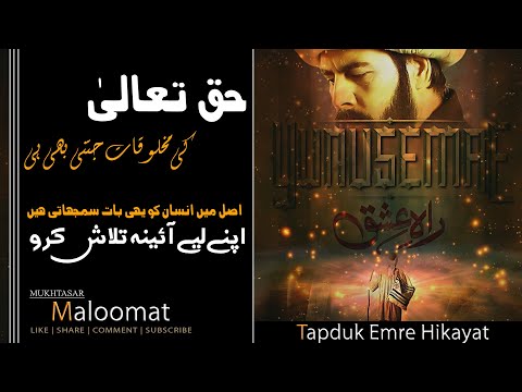 Golden Words in Urdu | Best Urdu Quotes | words of wisdom | Beautiful Quotes | Mukhtasar Maloomat