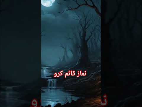 نماز قائم کرو AL Quran Tilawat #islamicvideos #islamicstoriesinurduandhindi #love