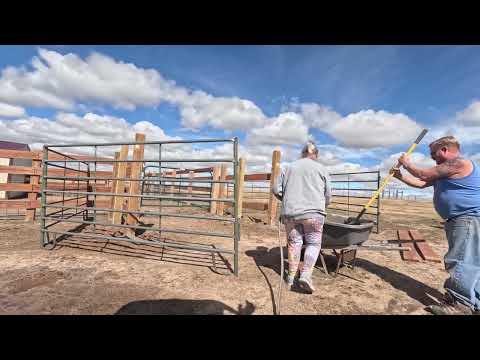 Corral Fencing Fun #ranching #highlands #diy