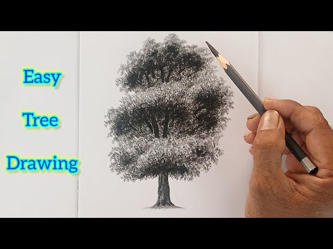 How to draw sketch a tree for beginners.