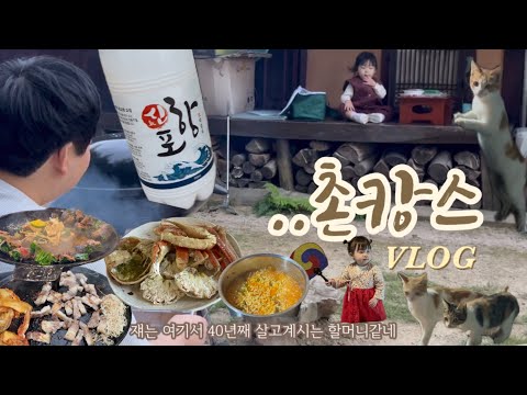 포항&경주여행vlog❤️촌캉스에서 고양이와의 하룻밤,아기랑 극한체험이었다(?),시골집 솥뚜껑에 빠진 아빠...경주에서 꽃놀이하고 스티커사진도🩷