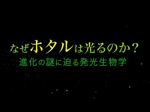 なぜホタルは光るのか？ 進化の謎に迫る発光生物学｜ガリレオX第246回