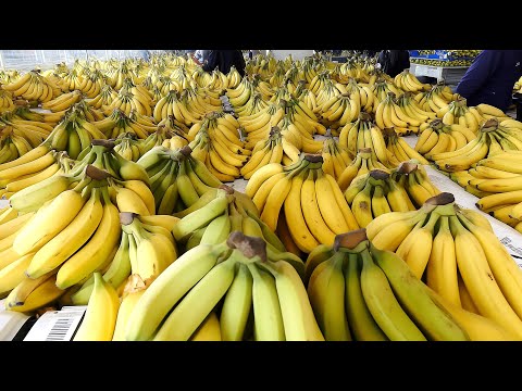 The Amazing Process Behind Korea’s Lemon Powder and Del Monte Bananas