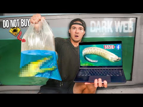 BUYING LIVE MORAY EEL OFF Facebook Marketplace!