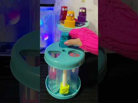 Superb 3Bear Shape Sorter sound effect #shapesorter #soundeffects #shorts #trending #viralshorts