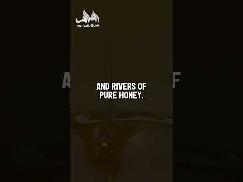 The Majestic Rivers of Jannah | Ustadh Mohamad Baajour #short #shortvideo