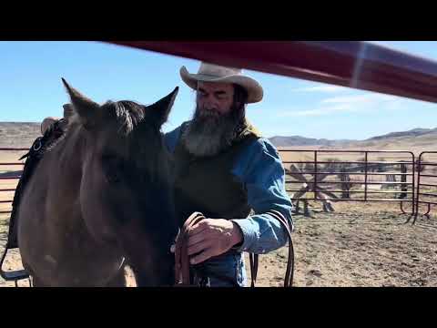 Tuning Up a Lazy Horse For Spring