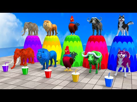 Choose Right Drink with Cow Elephant Gorilla Lion Dinosaur buffalo Wild Animals Games