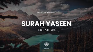 Surah Yaseen | Qari Tareq Mohammed | سورة يس | القارئ طارق محمد