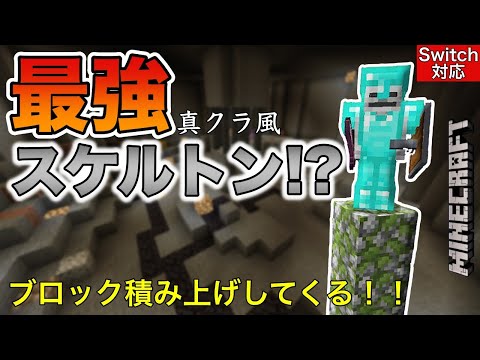 【コマンド】ブロックを積み上げてどこまでも追ってくる！？最強スケルトンの作り方【スイッチ版マイクラ】