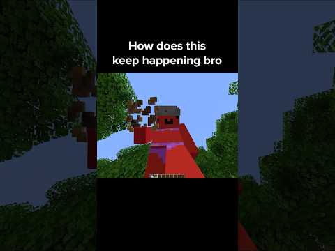 Minecraft Update Moment