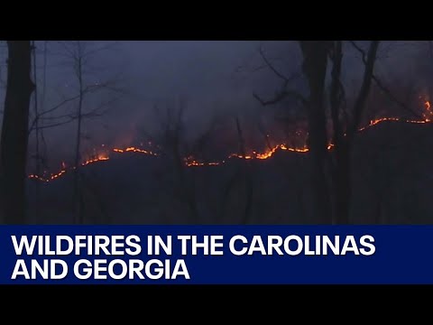 Wildfires: The Carolinas and Georgia continue to battle fires | FOX 7 Austin