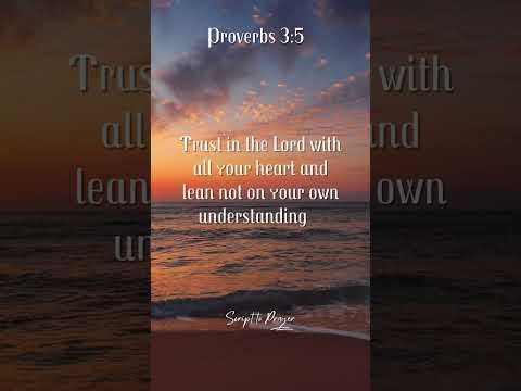 Proverbs 3:5-6  | Trust With All Your Heart | #bibleverse  #shorts