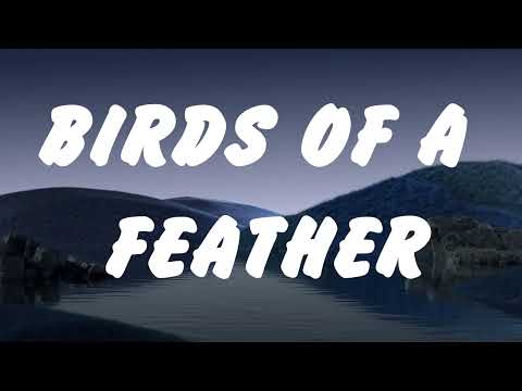 Billie Eilish - BIRDS OF A FEATHER (Lyrics),Ed Sheeran,Lana Del Rey