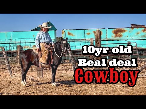 DRONE VIEWS OF SORTING & WORKING CATTLE | JASPER AT WORK