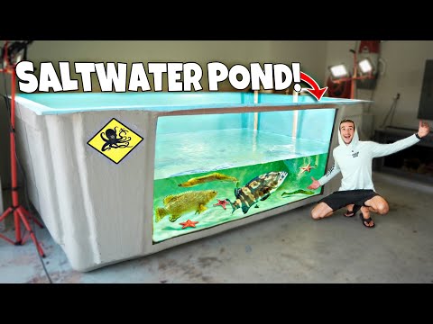 Adding All My EXOTIC FISH Into DREAM SALTWATER POND! (Part 2)