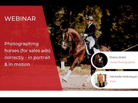 ehorses Webinar: How to take great photos of your horse for sale ads