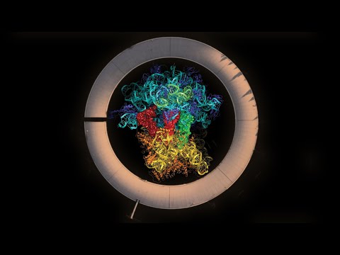 Ribosome under synchrotron light (Nobel Laureate Venki Ramakrishnan) (2019)