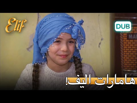 الیف ساندویچ درست می‌کند. | الیف قسمت 306