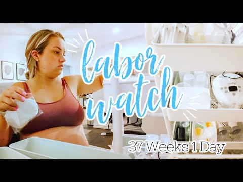 LABOR WATCH! 37 Weeks 1 Day