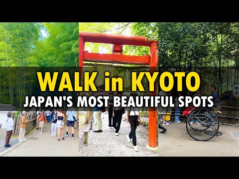 3 Must-See Spots in Arashiyama, Kyoto | Japan's most spectacular scenery