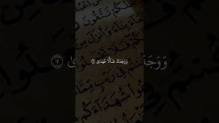 #ارح_سمعك #ارح_سمعك_بالقران #قران_كريم #قرآن #قران #اكتب_شي_تؤجر_عليه #فارس_عباد #اكسبلور