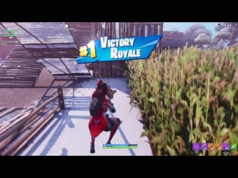 Fortnight - final kill