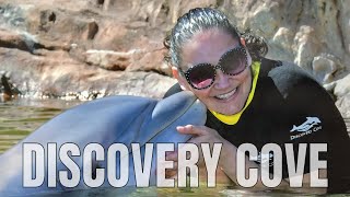 Discovery Cove 2025: Dolphin Swim