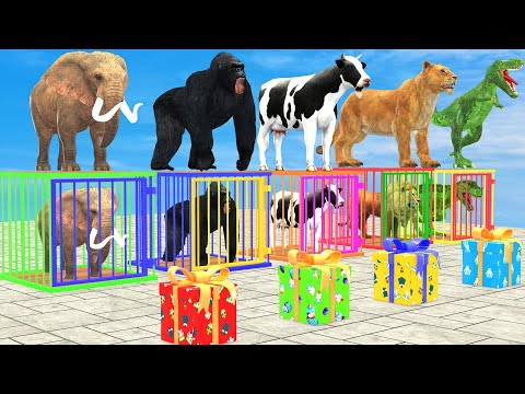 Choose The Right Gift Box with Cow Elephant Lion Gorilla Tiger T-Rex Animals Cage Game Challenge