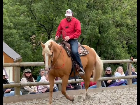 Horsemanship demonstration ranch day vlog