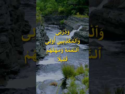 Heart Touching, Tearful, Calming & Beautiful Quran Recitation, to Rehabilitate Mental Health & Mind