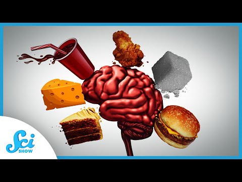 This Is Your Brain On Food | Compilation