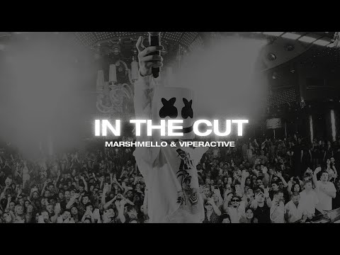 Marshmello x Viperactive - In The Cut (Official Visualizer)