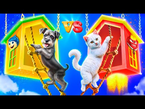 We Build Secret Room for Pets! Cat vs Dog!