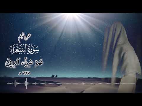 بهدوءه الشهير يأسر القلوب 😴💚 | خواتيم سورة الشعراء بصوت القارئ عمر بن ضياء الدين | Surah Ash-Shu'ara