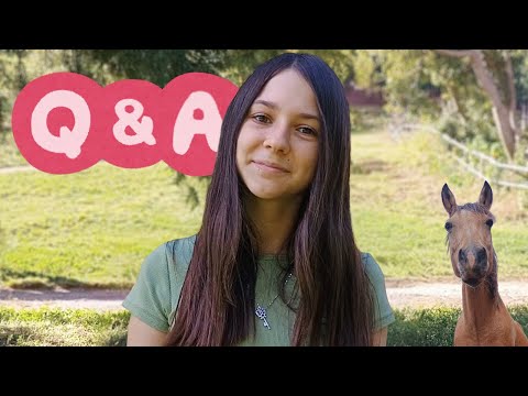 ONE YEAR ON YOUTUBE Q&A! | Answering your questions...