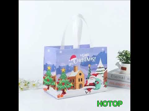 Merry Christmas bags for you