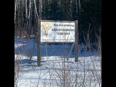 Dispatches from Grassy Narrows: The ground breaking of the mercury health centre and the fight fo...