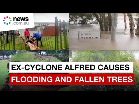 Ex-Cyclone Alfred causes flooding and fallen trees