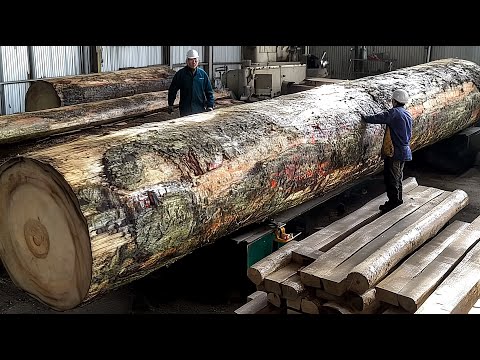 How the Earth's Largest Trees Are Transformed into Luxury Furniture! Korean Solid Wood Craftsmanship