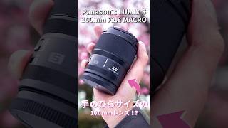 【Panasonic】片手で撮れる身軽な中望遠マクロレンズがスゴイ！ #shorts