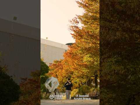 [4 Seasons] 한양의 가을｜Autumn Breeze #Shorts #한양대학교 #캠퍼스 #한양대